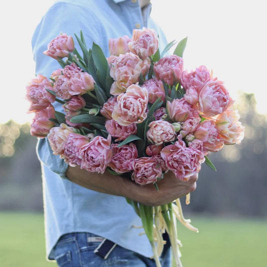 Les tulipes de Madame Alice en BOUQUET WOW!