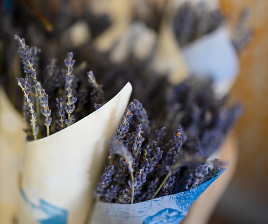 Bouquet de lavande séchées