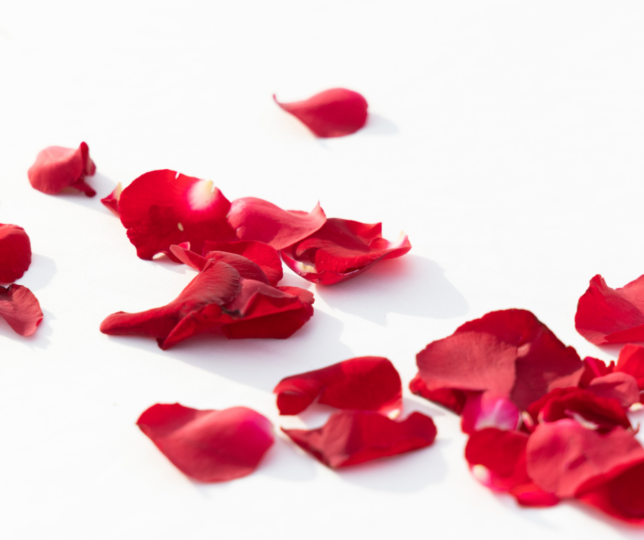 Sac de pétales de roses rouges - Aneyro
