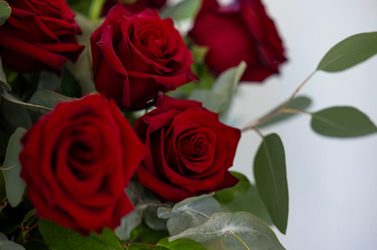 Bouquet of red roses