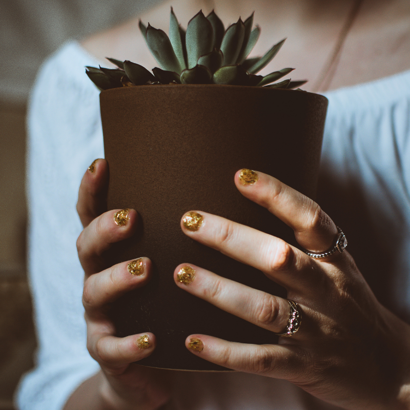 Plante surprise et son cache-pot signé Madame Alice