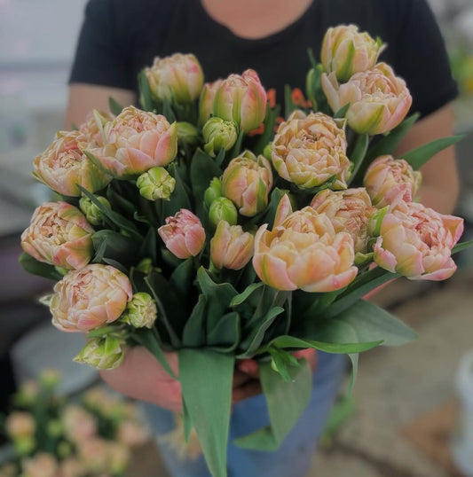 Les tulipes de Madame Alice en BOUQUET WOW!