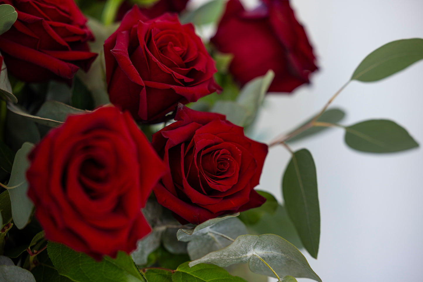 Bouquet of red roses