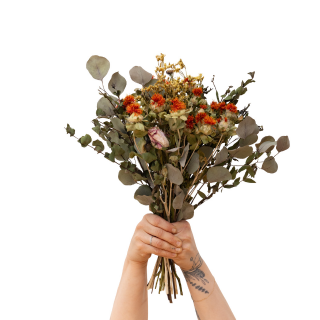 Bouquet of dried flowers