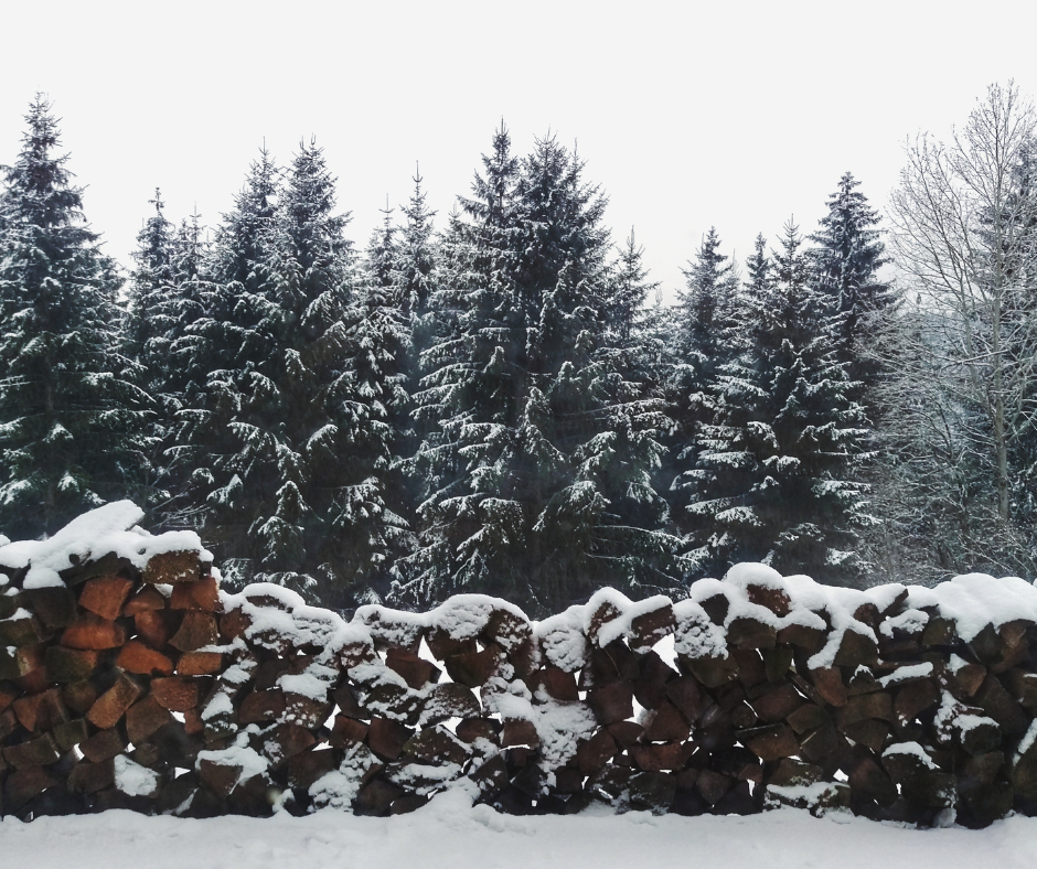 Le Bouquet Surprise d’Hiver