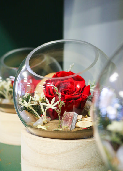 Rose éternelle rouge Grand Amour | Collection Saint-Valentin