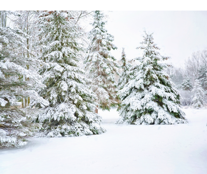 Le Bouquet Surprise d’Hiver