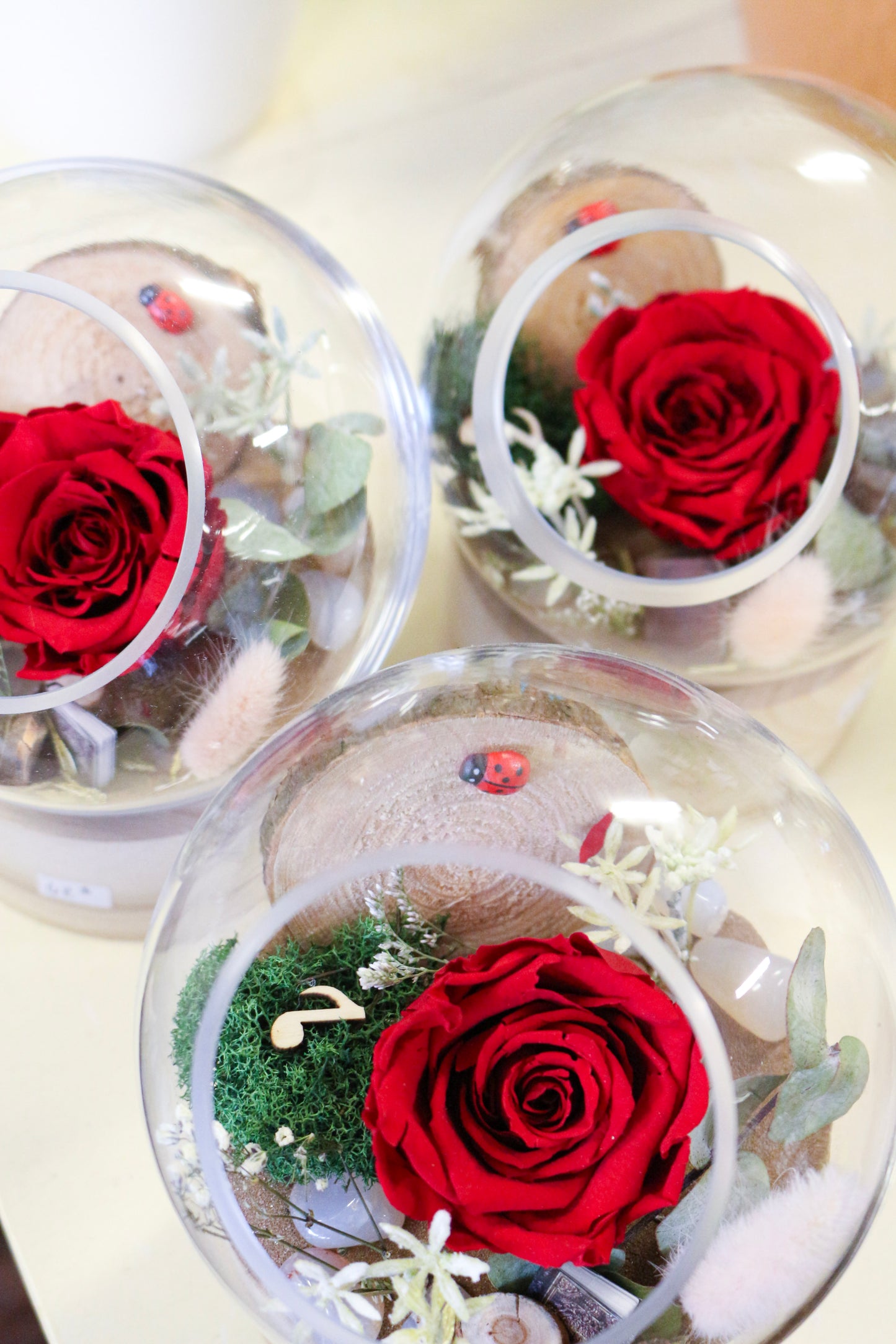 Rose éternelle rouge Grand Amour | Collection Saint-Valentin