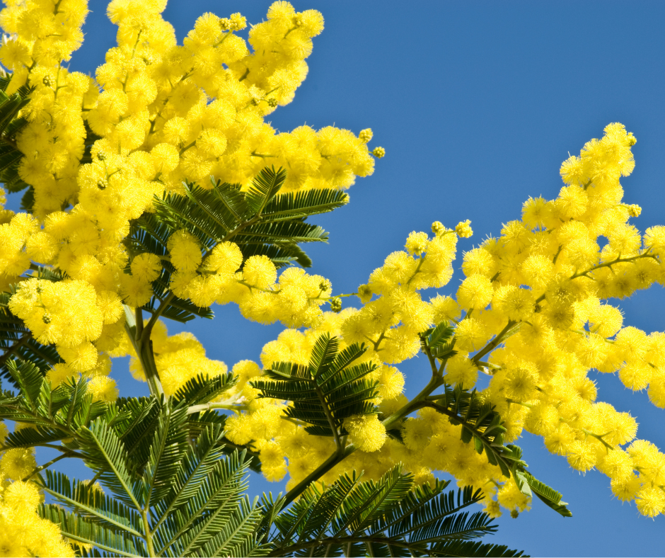 Bouquet 100% Rayonne │ Collection Fleurs en textile