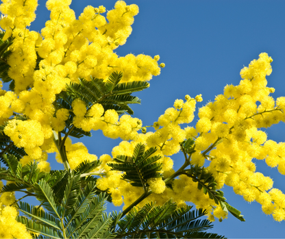 Bouquet 100% Rayonne │ Collection Fleurs en textile