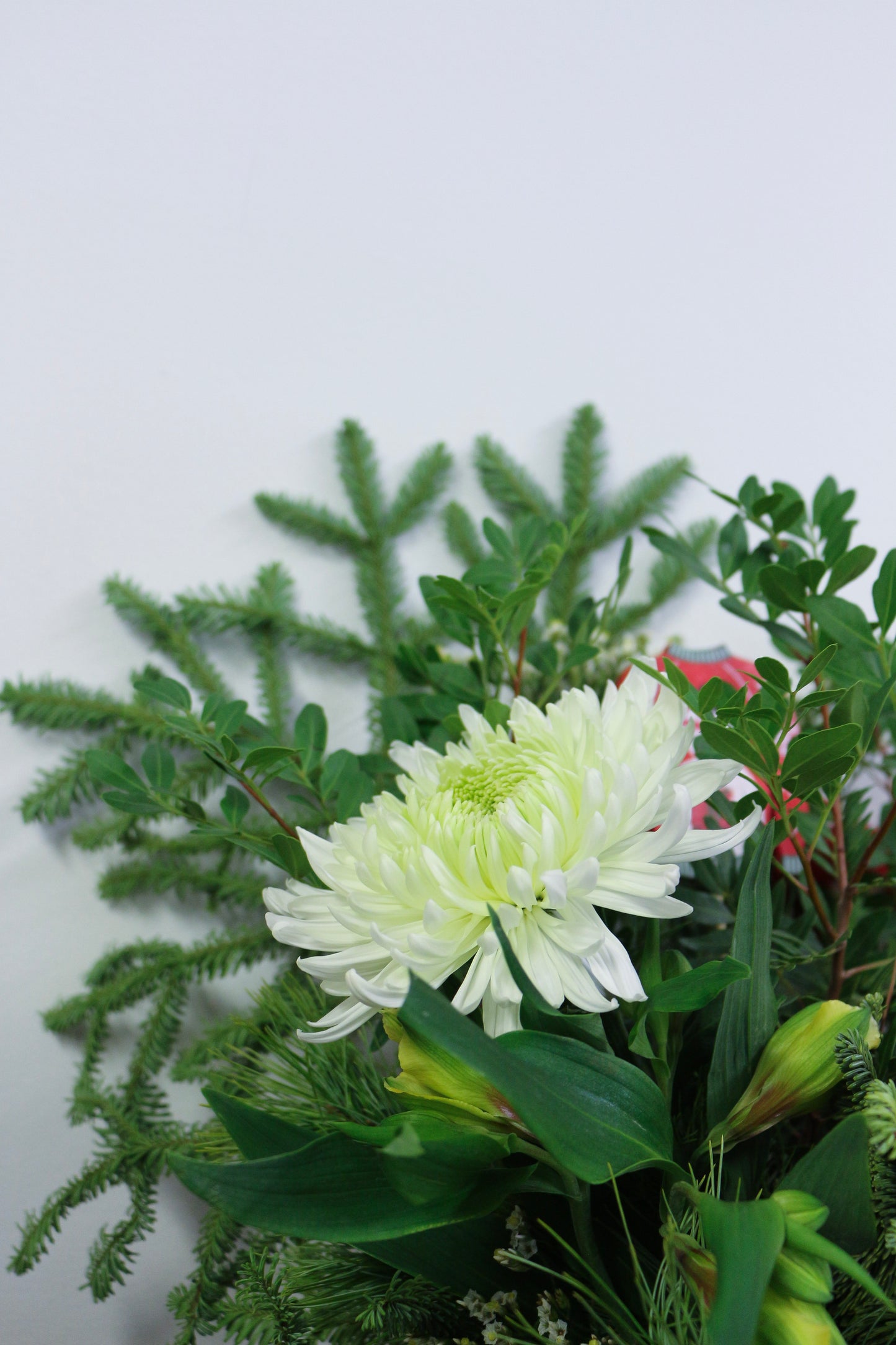 Bouquet P'tite laine│ Collection Le Noël de Charlie Brown (Disponible dès le 4 décembre)