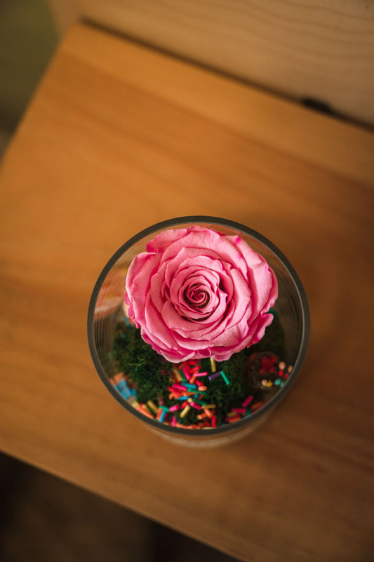 Rose éternelle cup cake| Collection Bouquets gourmands