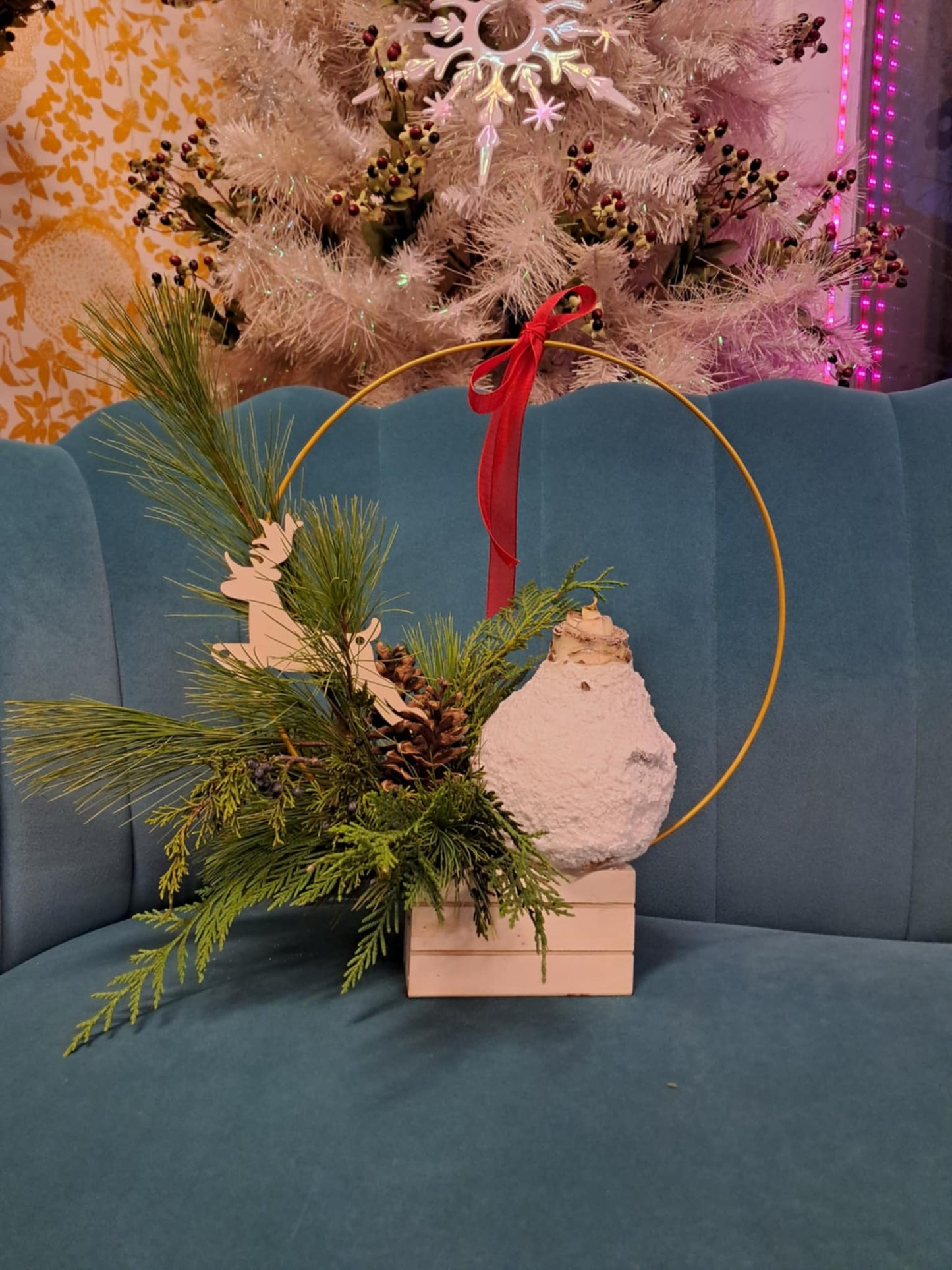 Centre de table des Fêtes ┃Bulbe d’amaryllis à voir pousser