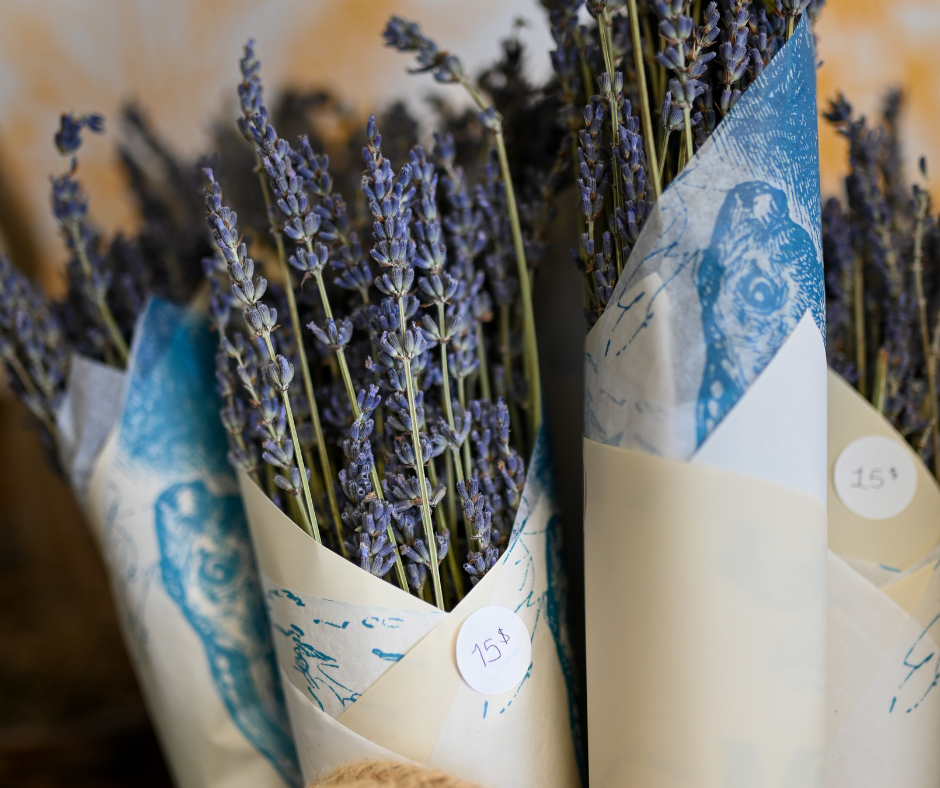 Bouquet of dried lavender