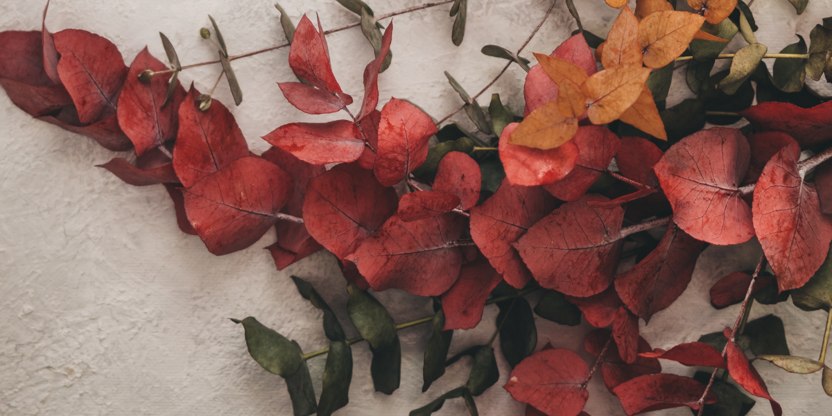 Le Bouquet Surprise d’Automne