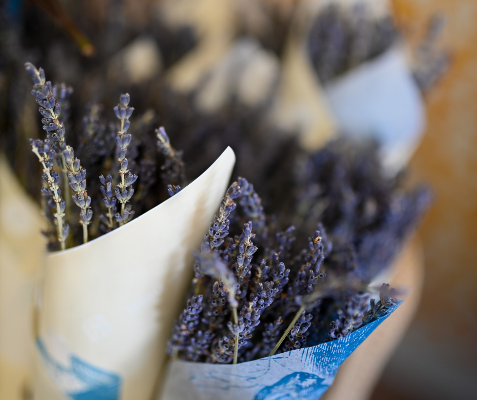 Bouquet of dried lavender