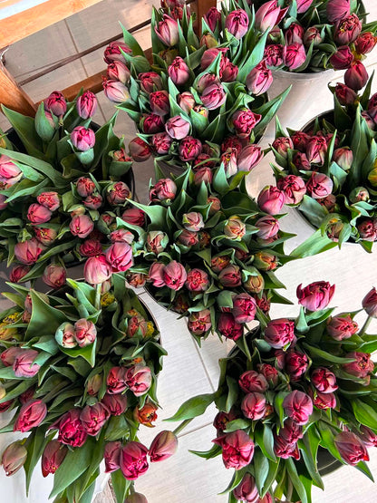 Les tulipes de Madame Alice en BOUQUET WOW!