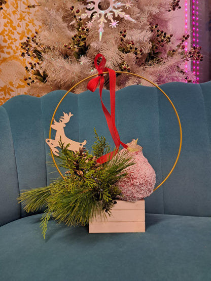 Centre de table des Fêtes ┃Bulbe d’amaryllis à voir pousser