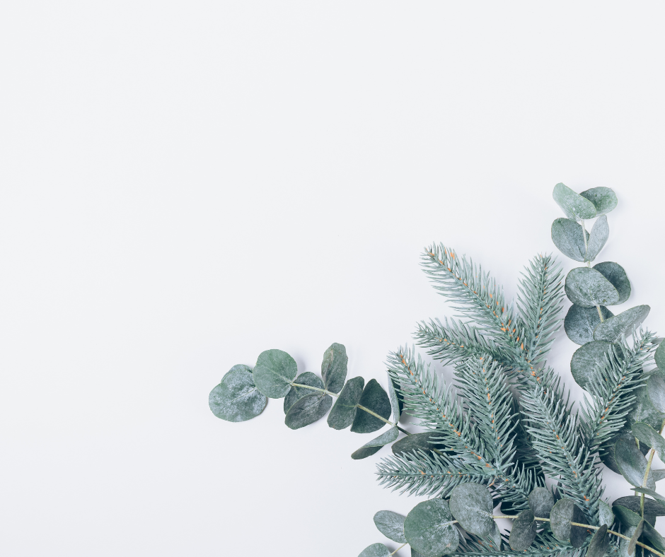 Le Bouquet Surprise d’Hiver