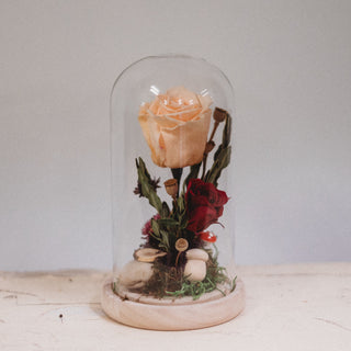 Rose éternelle sous cloche de verre | Collection Dame nature
