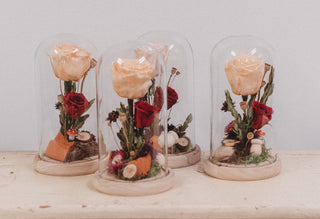 Rose éternelle sous cloche de verre | Collection Dame nature
