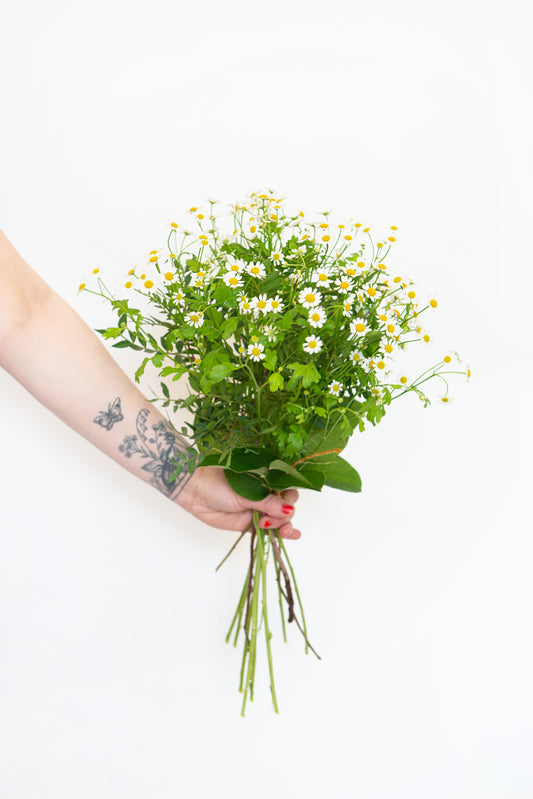 Miss Daisy White Daisies Bouquet