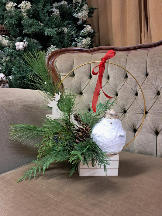 Centre de table des Fêtes ┃Bulbe d’amaryllis à voir pousser