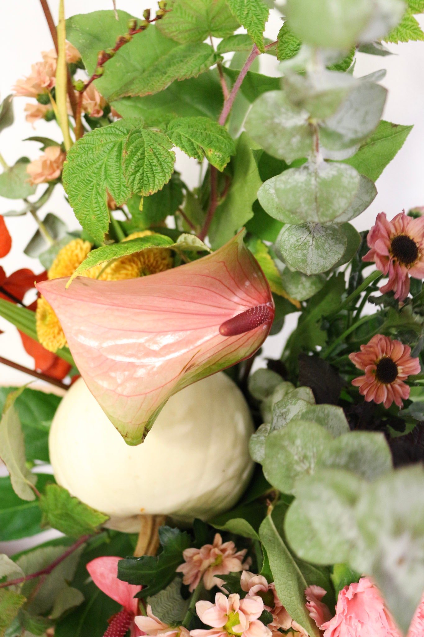 Bouquet Latte à la Citrouille & Framboise│ Collection Infusion d'automne