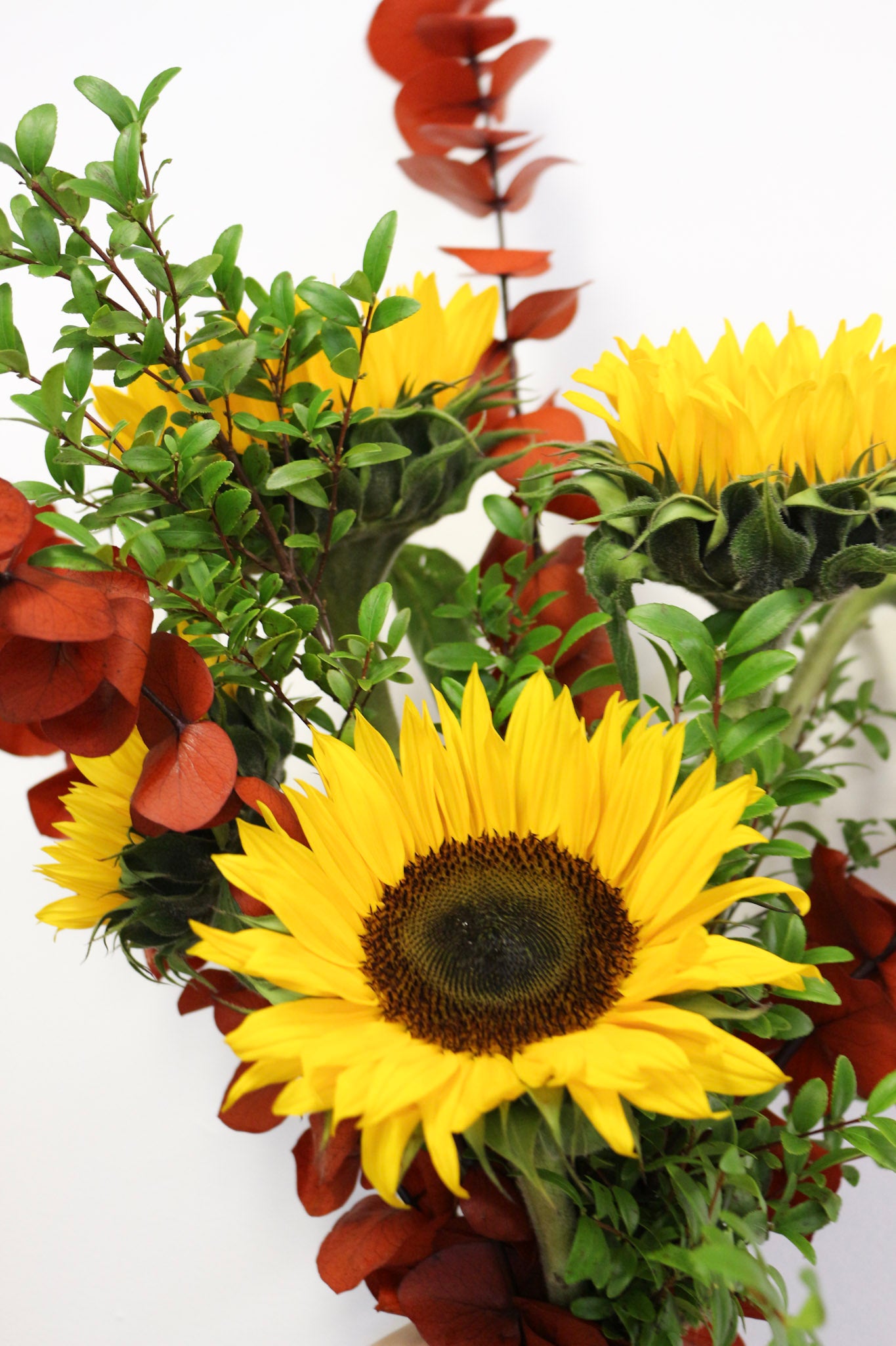 Tisane Soleil d’automne│Collection Infusion d'automne