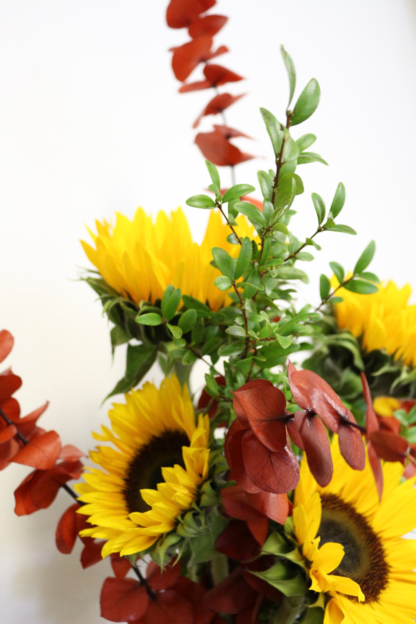 Tisane Soleil d’automne│Collection Infusion d'automne
