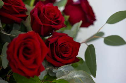 Bouquet de Roses rouges