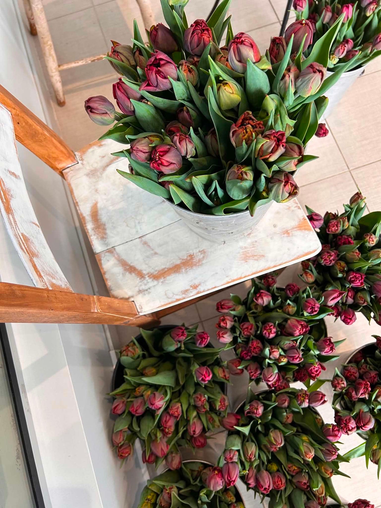 Les tulipes de Madame Alice en BOUQUET WOW!