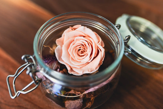 Petit pot de rose (rose éternelle et fleurs séchées)