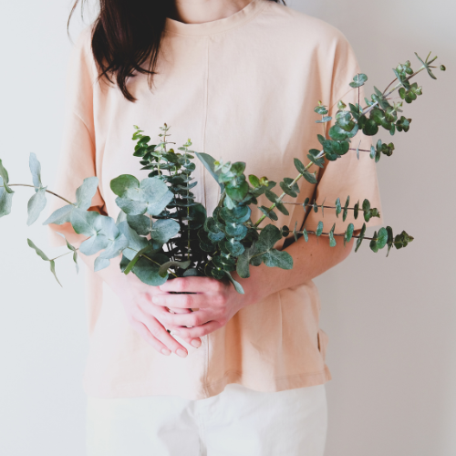 Bouquet d'eucalyptus