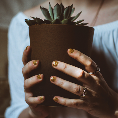 Madame Alice's Surprise Plant